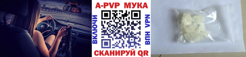блэк спрут вход  Сунжа  A-PVP СК КРИС 