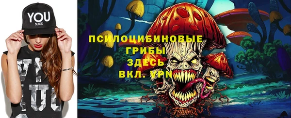 ешки Алексин