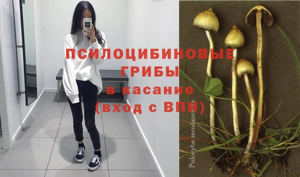 ешки Алексин